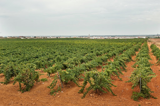 Bodegas Contreras Ruiz