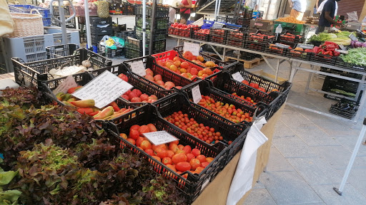 Mercat de Marxants a Torroella de Montgrí ubicada en Torroella de Montgrí (Girona)