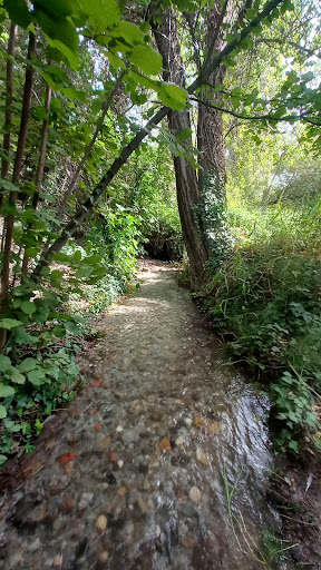 EL MOLINO DE SAN ACACIO ubicada en Huétor Santillán (Granada)