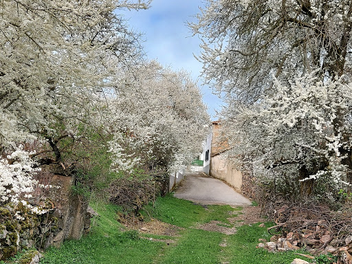 Fuenteva S L ubicada en Fuenteliante (Salamanca)