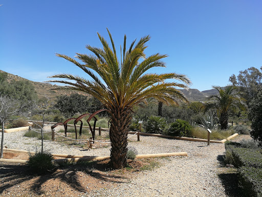 Botanical Garden ubicada en Rodalquilar (Almería)