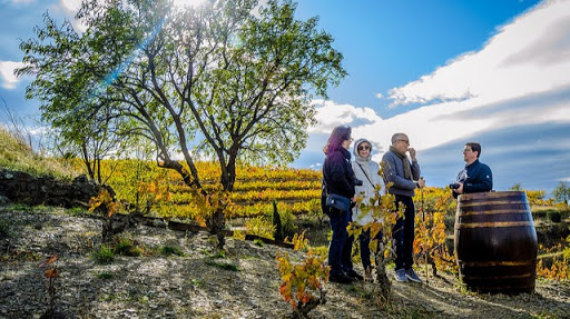 Devinssi Winery ubicada en Gratallops (Tarragona)