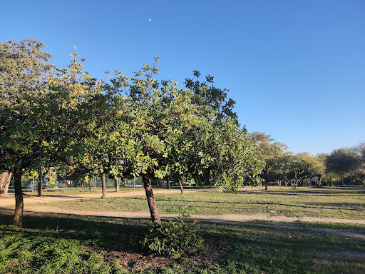 Periurbano Porzuna Park ubicada en Mairena del Aljarafe (Sevilla)