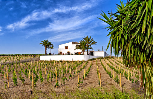 Compañía de Vinos del Atlántico ubicada en Añina (Cádiz)