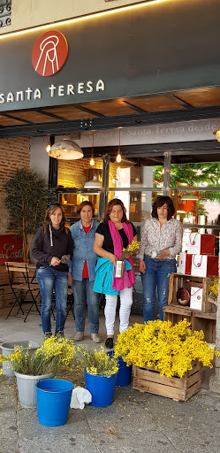 Santa Teresa Shop ubicada en Ávila (Ávila)