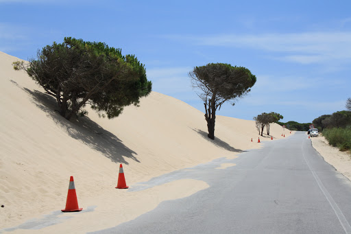 Duna De Valdevaqueros ubicada en Tarifa (Cádiz)