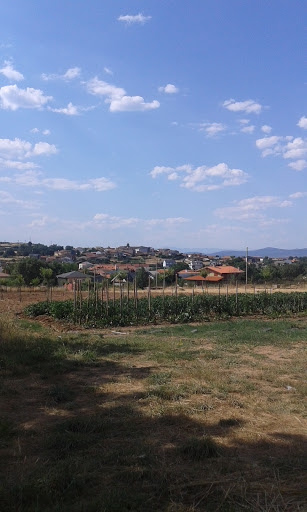 Embutidos Alfonso ubicada en San Vitero (Zamora)