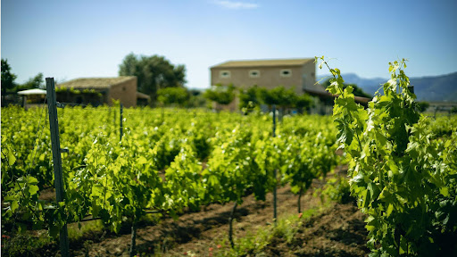 7103 Petit Celler ubicada en Santa Maria del Camí (Islas Baleares)