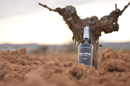 Bodega Mario Sampedro ubicada en Villa del Prado (Madrid)