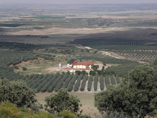 Casas de Hualdo ubicada en El Carpio de Tajo (Toledo)