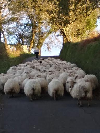 Telleri Zahar Baserria ubicada en Hernani (Gipuzkoa)