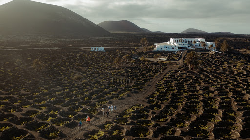 Finca Testeina ubicada en La Geria (Las Palmas)