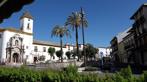 Panaderia Confiteria Nuestra Señora de Araceli SL ubicada en Lucena (Córdoba)