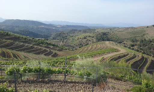 Familia Torres - Priorat (CENTRE DE VISITES) ubicada en El Lloar (Tarragona)