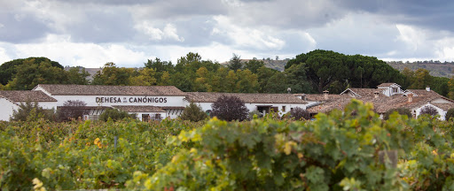 BODEGA DEHESA Canons ubicada en Pesquera de Duero (Valladolid)