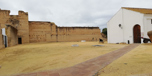 Castillo de Moguer ubicada en Moguer (Huelva)