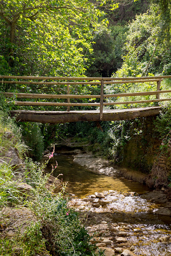 Ruta del Arroyo de la Ventilla ubicada en Arriate (Málaga)