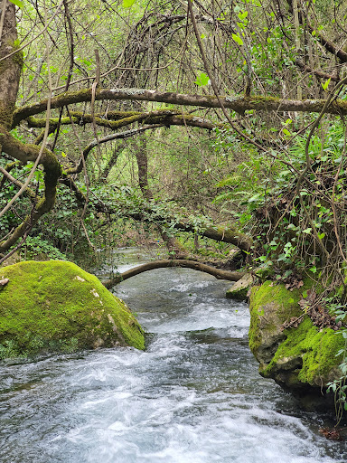 Inicio de la ruta del río Majaceite ubicada en Grazalema (Cádiz)