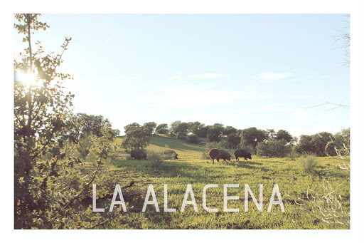 La alacena productos ibéricos ubicada en Hinojosa del Duque (Córdoba)