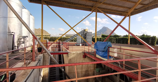 Bodegas Olivares ubicada en Jumilla (Murcia)