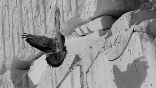 Piedra Paloma ubicada en Pedrera (Sevilla)