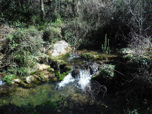 Garganta del arroyo de la ventilla ubicada en Arriate (Málaga)