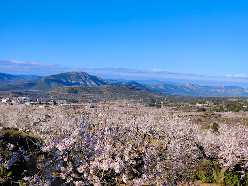 Cooperativa Agrícola Sant Pau ubicada en Albocàsser (Castellón)