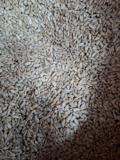 Carnisseria Albaraka ubicada en Lleida (Lleida)