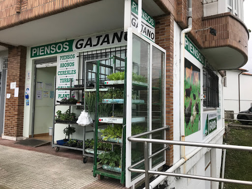 Piensos Gajano La Rotonda ubicada en Gajano (Cantabria)