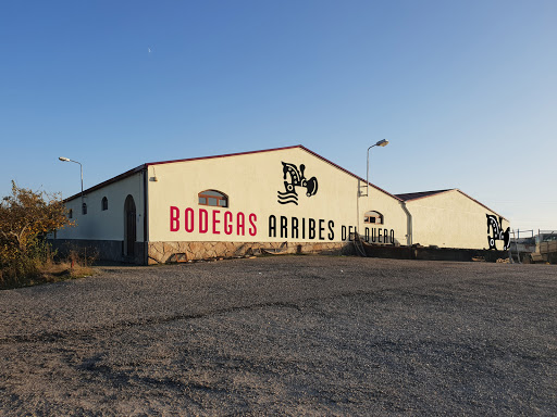 Bodegas Arribes Del Duero ubicada en Aldeadávila de la Ribera (Salamanca)