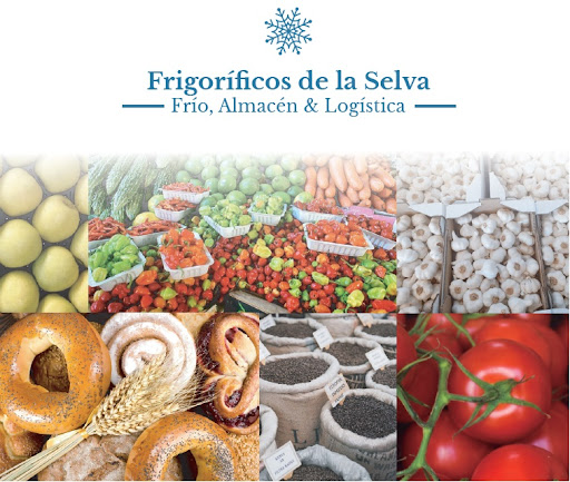 Almacenes y Frigoríficos de la Selva ubicada en Girona (Girona)
