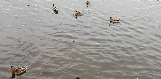 EROSKI ubicada en Camariñas (A Coruña)