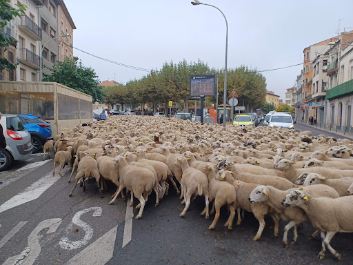 Plusfresc Tremp ubicada en Tremp (Lleida)