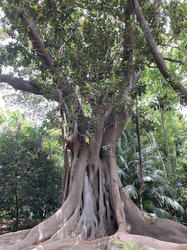 Casa-Palacio La Concepción ubicada en Málaga (Málaga)