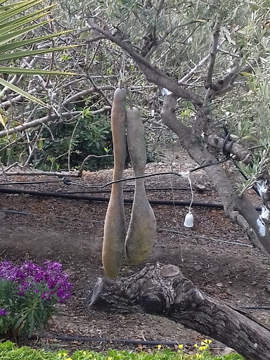 Casa El Pino ubicada en Torrox (Málaga)