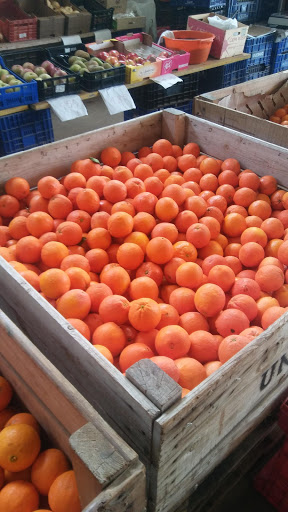 Frutas Roberto Lumbreras Elguea ubicada en Lardero (La Rioja)