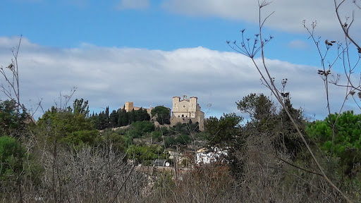 Coaliment ubicada en Artà (Islas Baleares)