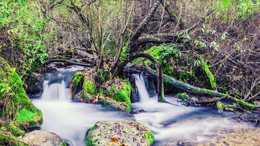 Inicio sendero rio Majaceite ubicada en El Bosque (Cádiz)