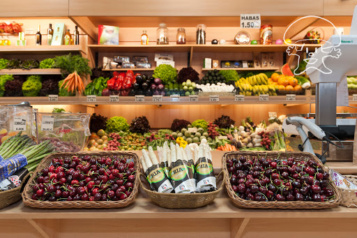 Don Gregorio Gourmet ubicada en Valencia (Valencia)