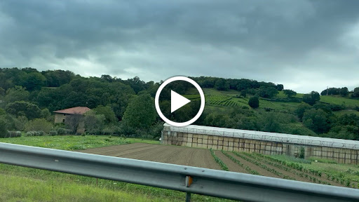 Avícola de Oikina S A L ubicada en Zumaia (Gipuzkoa)