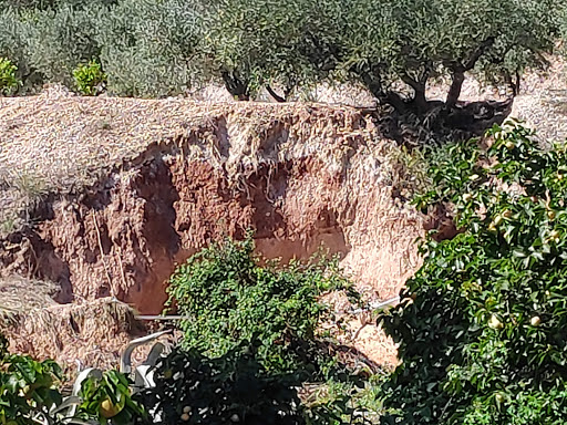 Quesería Artesana la Vall S.L. ubicada en Ontinyent (Valencia)