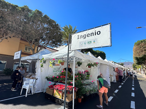 Arinaga ubicada en Agüimes (Las Palmas)