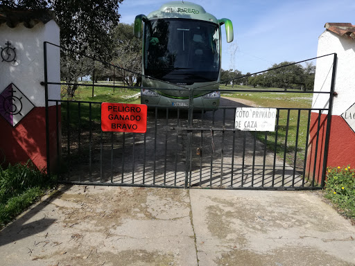 Finca La Capitana ubicada en Almadén de la Plata (Sevilla)