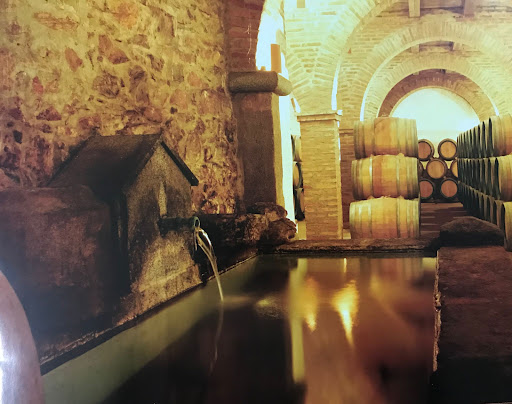 Bodegas Medina - El Convento ubicada en Zafra (Badajoz)