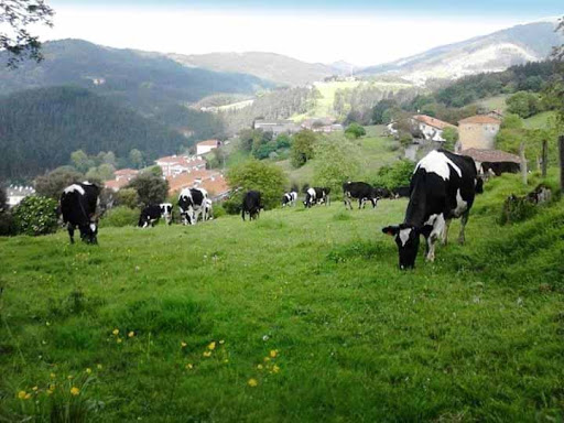 Axeleku ubicada en Mallabia (Vizcaya)