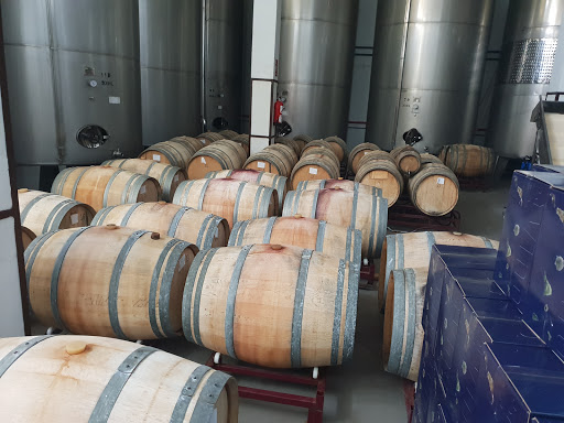 Bodegas El Hoyo ubicada en Villa de Mazo (Santa Cruz de Tenerife)