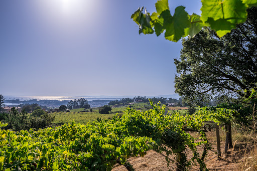 Bodegas Chaves ubicada en Ribadumia (Pontevedra)