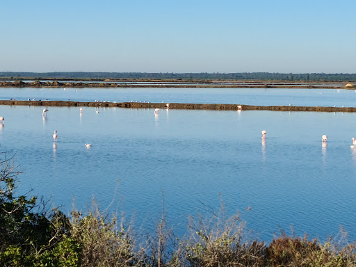 Salinas del Odiel (Envasadora de Sal Marina). ubicada en Huelva (Huelva)