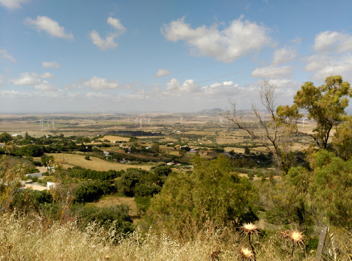 Distribuciones Cárnicas "Los Alcornocales S.L." ubicada en Medina-Sidonia (Cádiz)