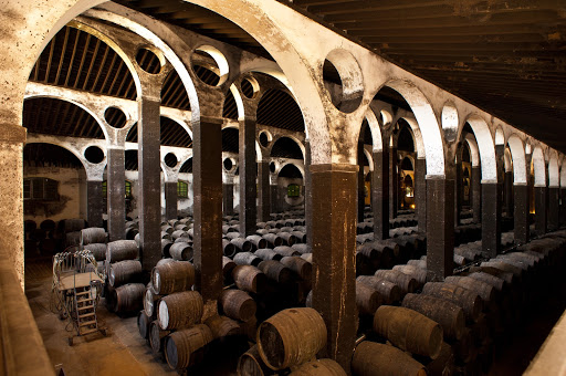 Museum Shop and Visitor Center Bodegas Barbadillo ubicada en Sanlúcar de Barrameda (Cádiz)